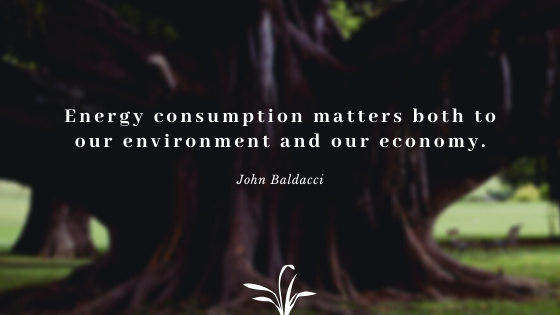 energy-environment_baldacci