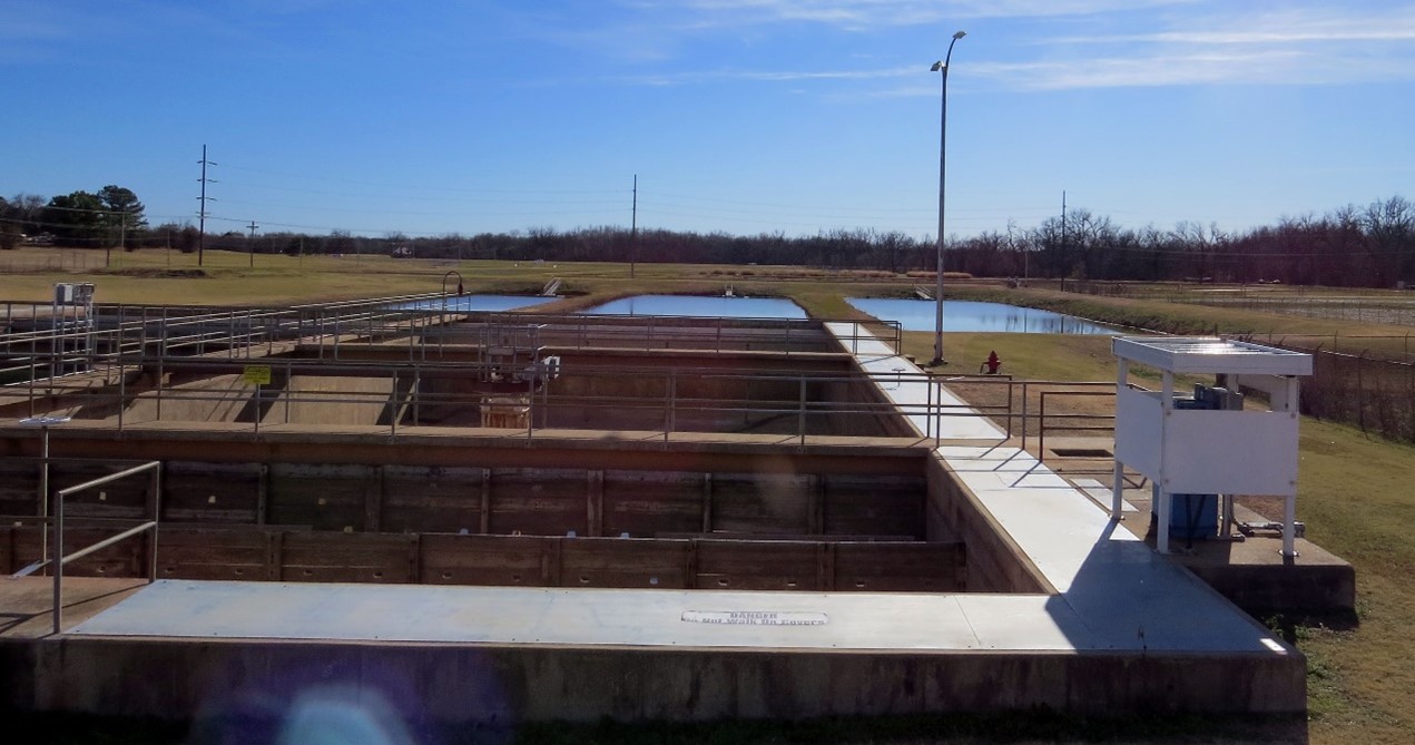 water plant image
