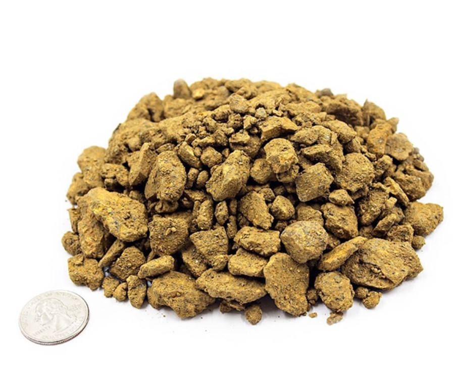 Desert Gold Chips