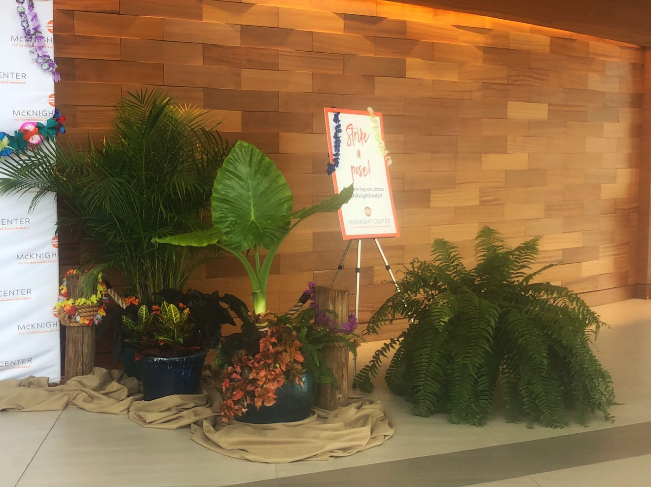 Mix of Large Arrangements and Large Plants Mix of Large Arrangements and Large Plants