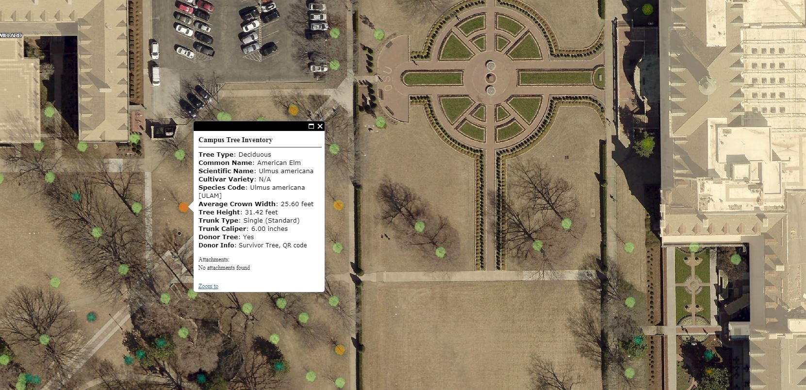 survivor_tree_map.jpg Survivor Tree Location Map