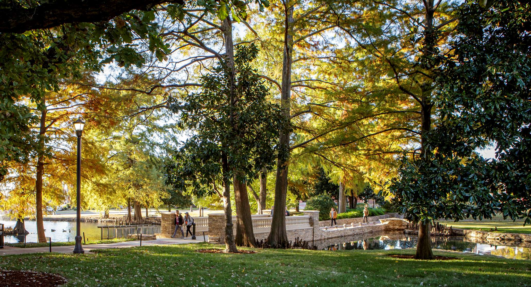 Theta Pond Bridge