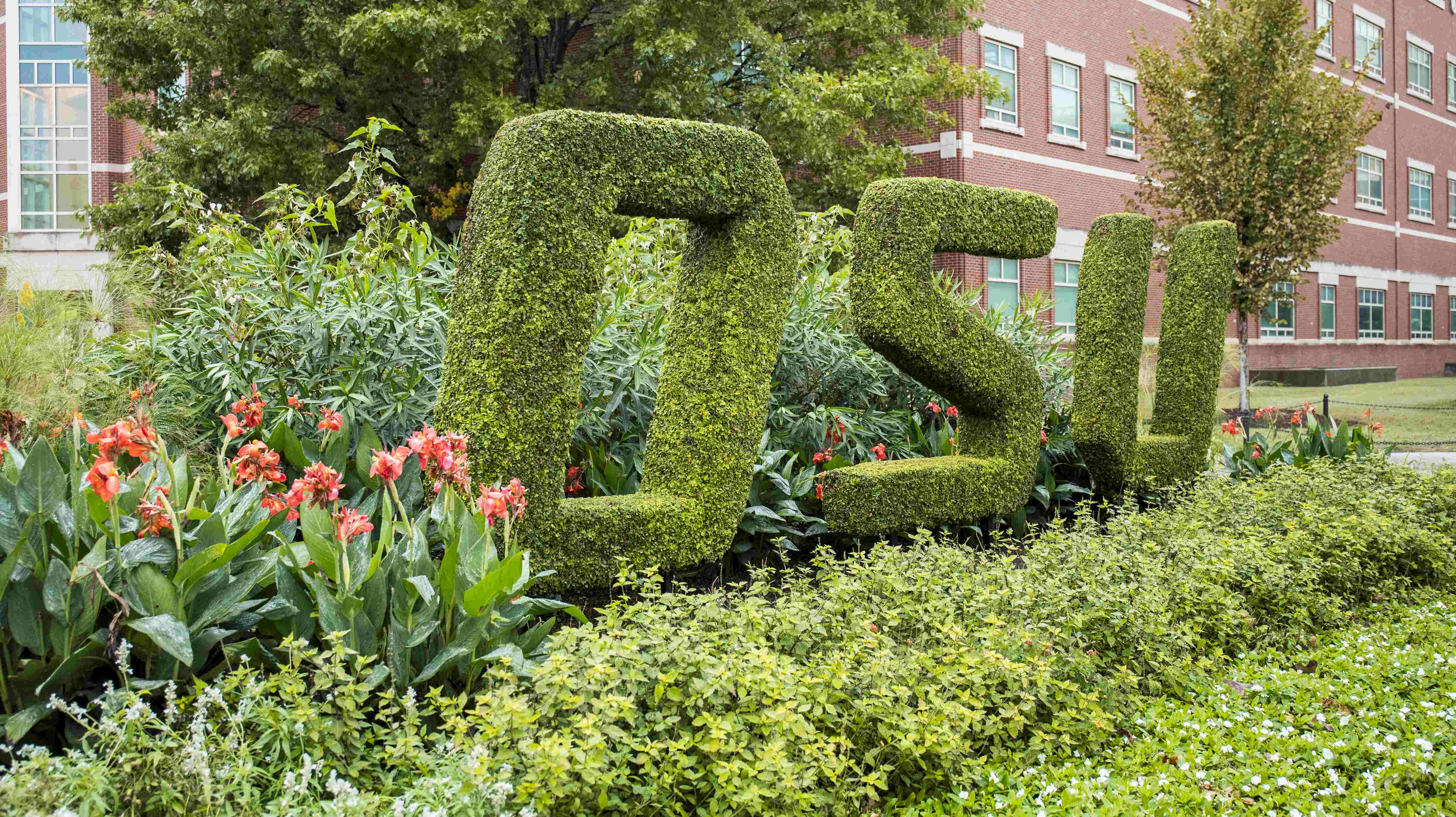 OSU topiary